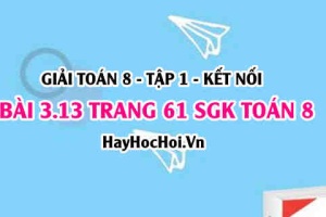 Giải bài 3.13 trang 61 Toán 8 Tập 1 SGK Kết nối tri thức